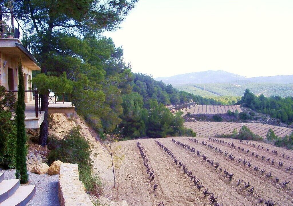 Photo of Outdoor in Avinyonet del Penedes