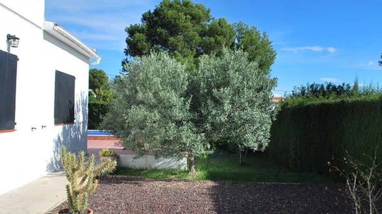 Photo of Outdoor in L Almadrava