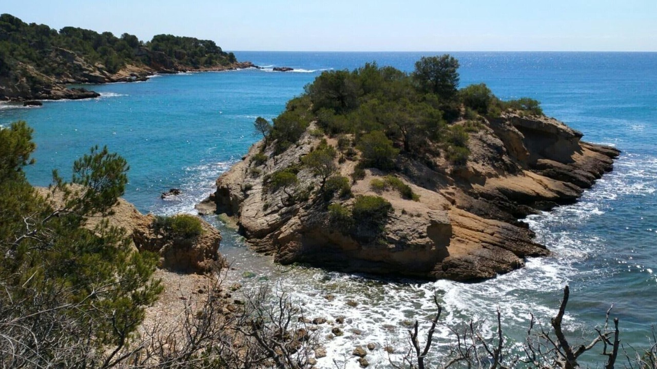 Photo of Others in L Almadrava