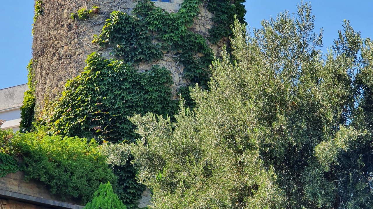 Photo of Others in Sant Vicenc de Montalt
