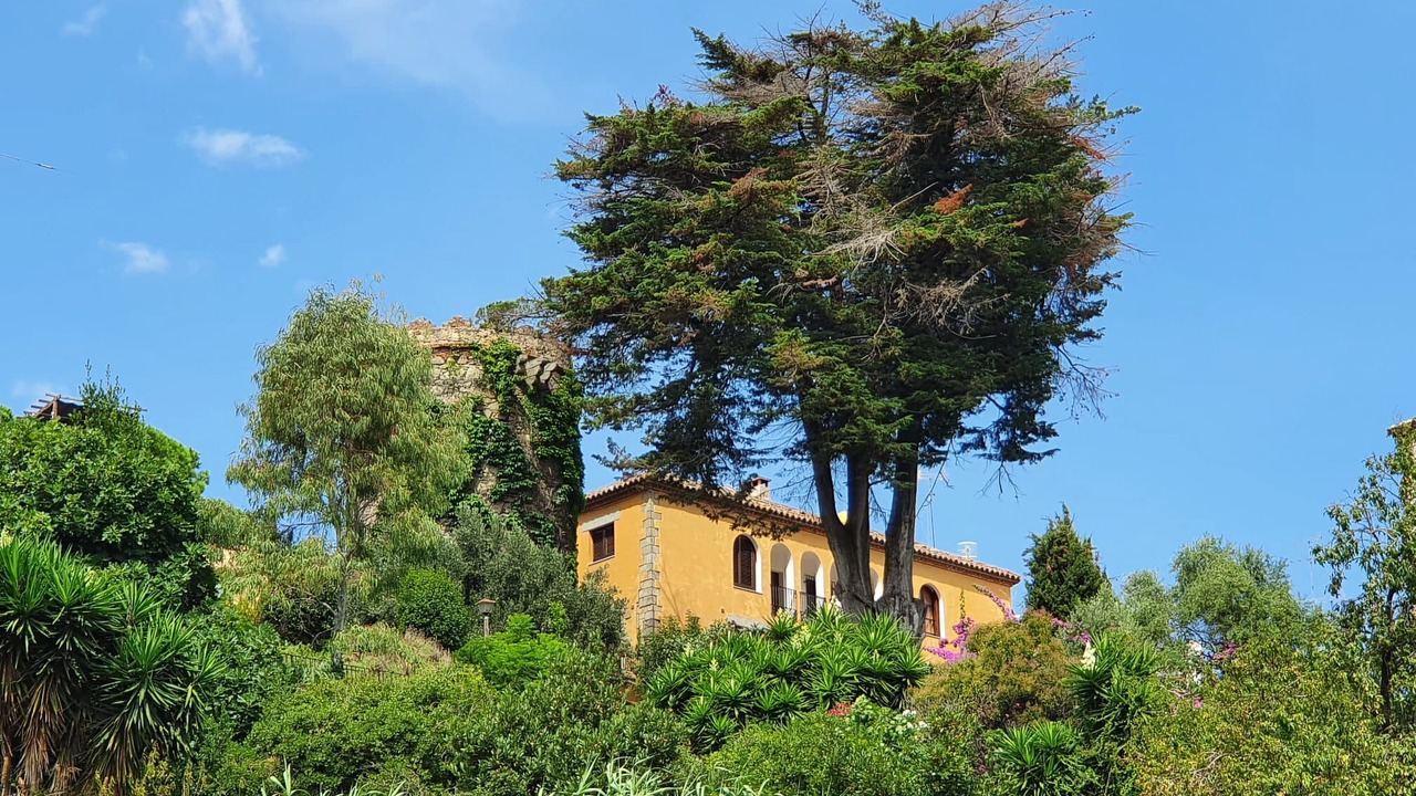 Photo of Outdoor in Sant Vicenc de Montalt