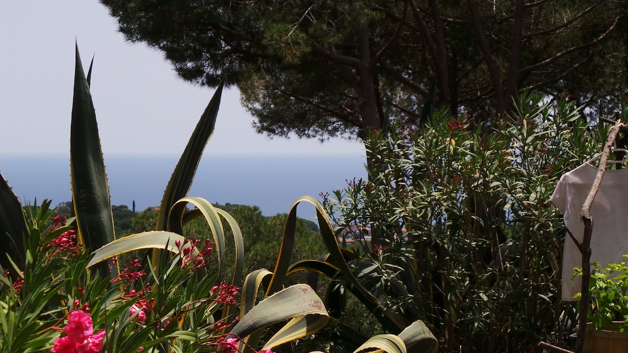 Photo of Outdoor in Sant Andreu de Llavaneres