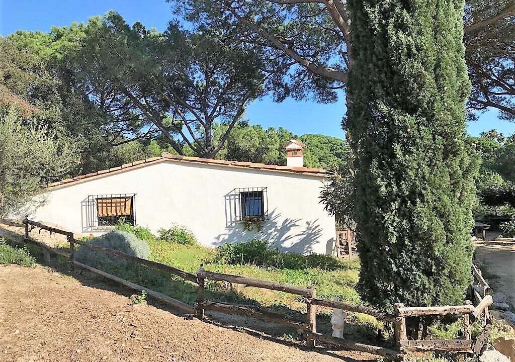 Photo of Outdoor in Sant Andreu de Llavaneres