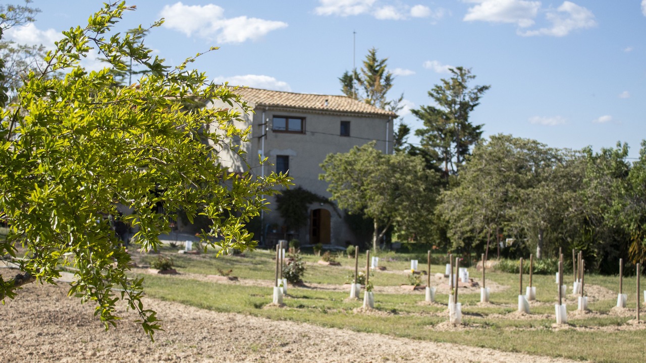 Photo of Outdoor in Castellet i la Gornal