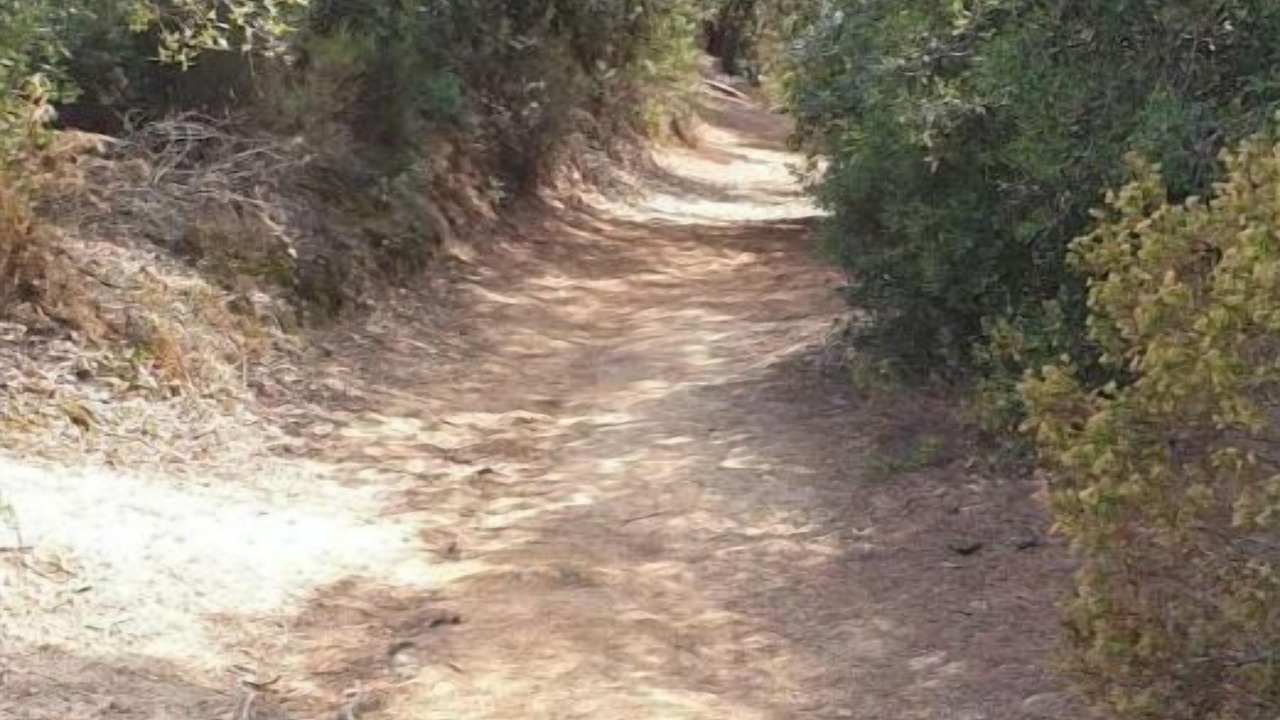 Photo of Outdoor in El Mas Mora