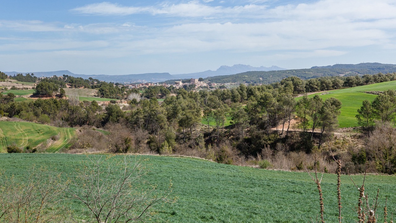 Photo of Others in Sant Marti de Tous