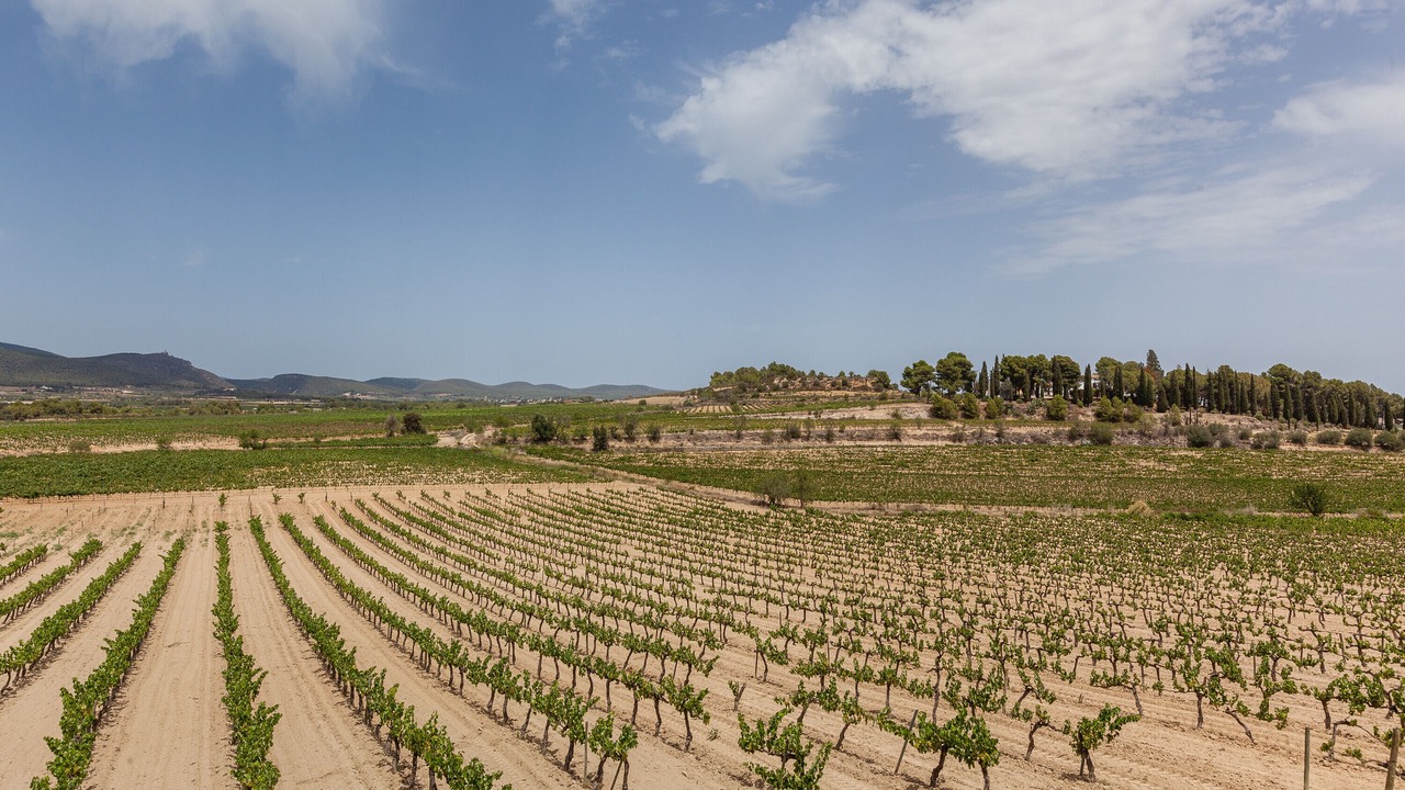 Photo of Others in Castellet i la Gornal