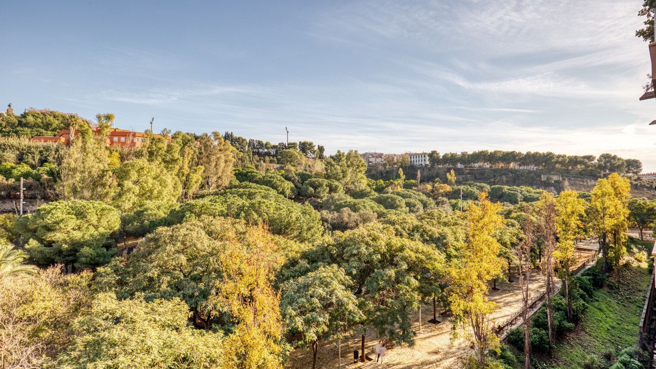 Photo of Outdoor in La Font de la Guatlla