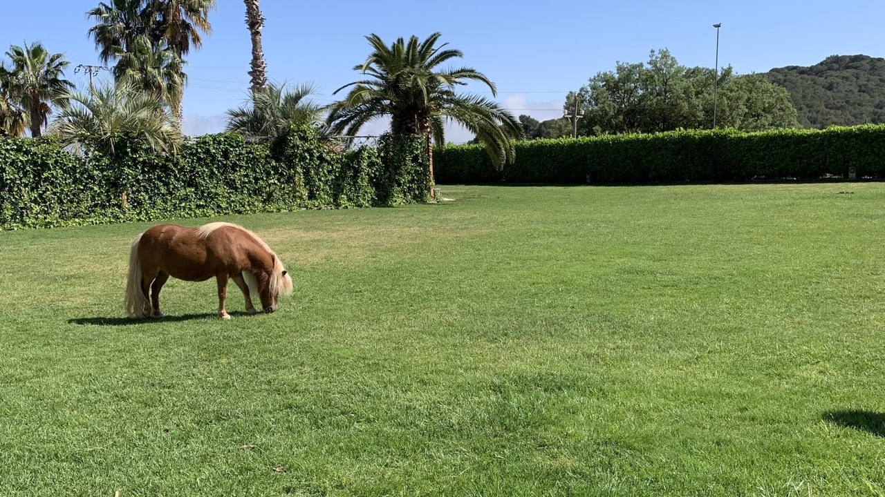 Photo of Outdoor in Sant Iscle de Vallalta