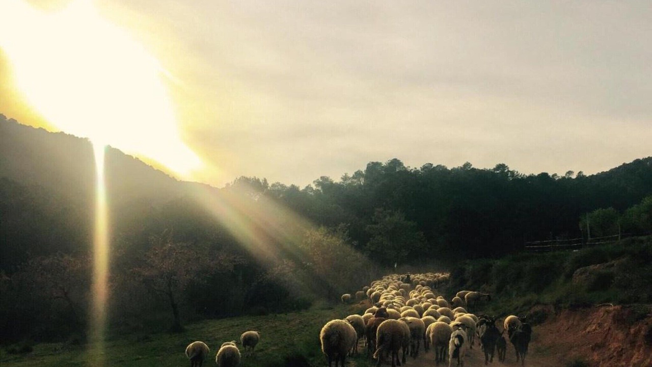 Photo of Others in Castellar del Riu