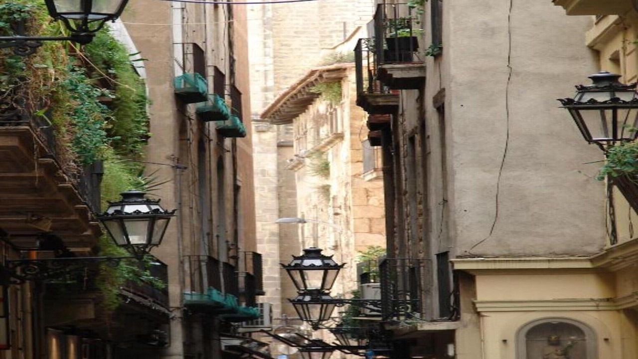 Photo of Others in Castellar del Riu