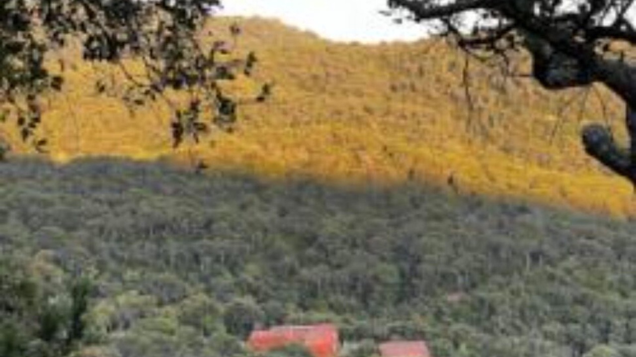 Photo of Others in Sant Iscle de Vallalta