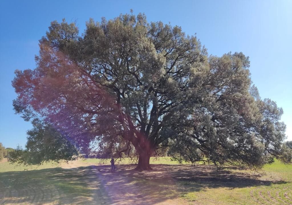 Photo of Outdoor in Casserres