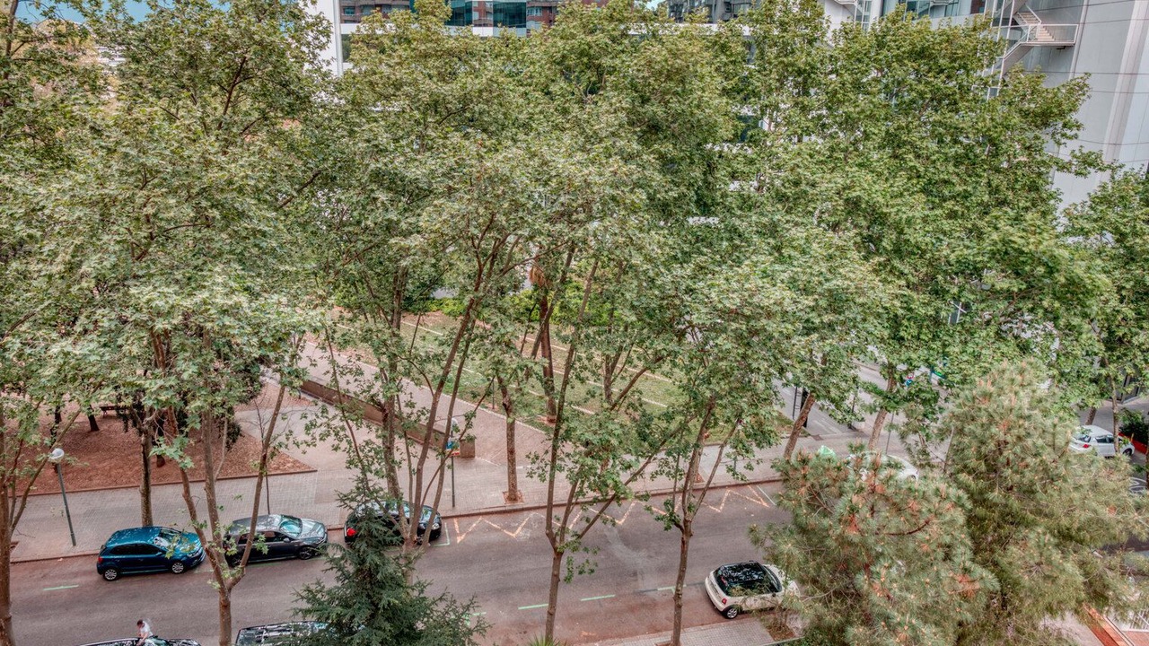 Photo of Outdoor in Les Corts