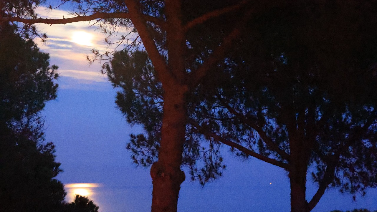 Photo of Others in Sant Vicenc de Montalt
