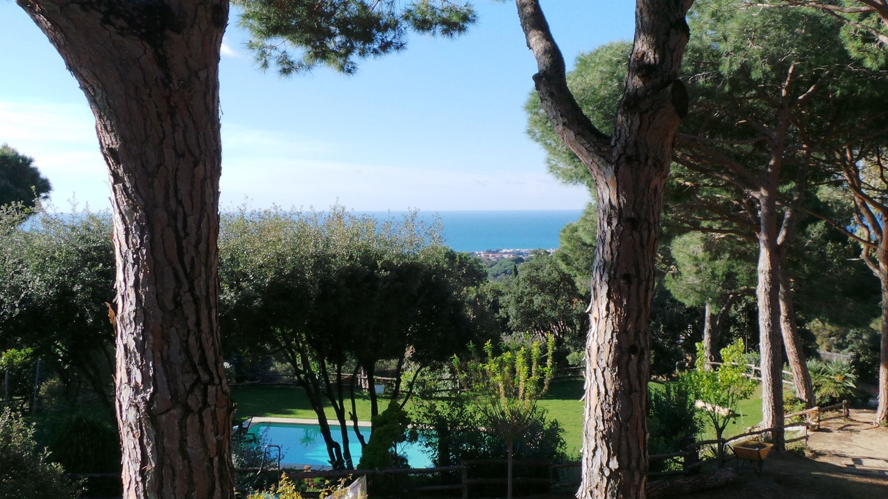 Photo of Outdoor in Sant Vicenc de Montalt