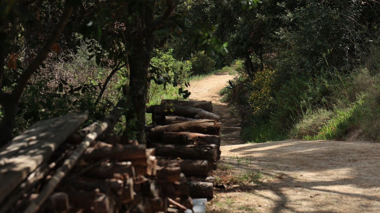 Photo of Others in Sant Vicenc de Montalt