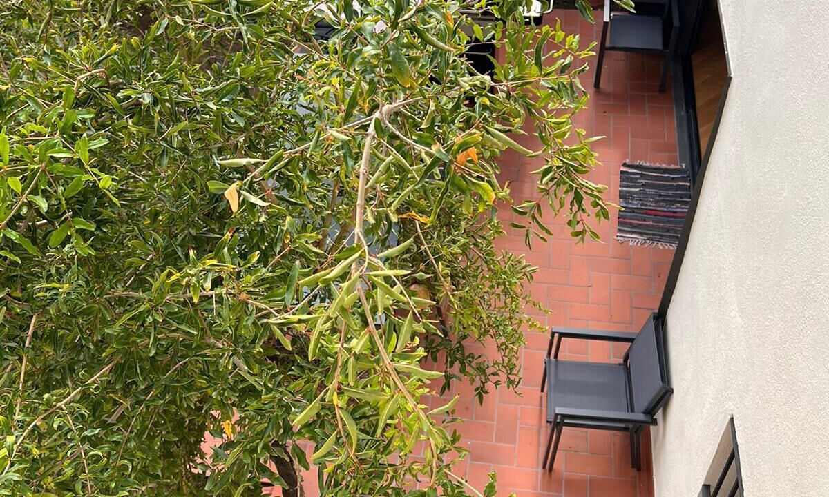 Photo of Patio Balcony in El Coll