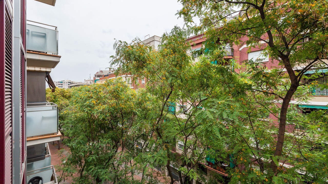 Photo of Outdoor in Navas