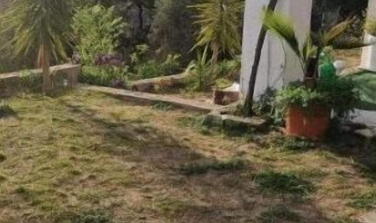 Photo of Outdoor in Tordera
