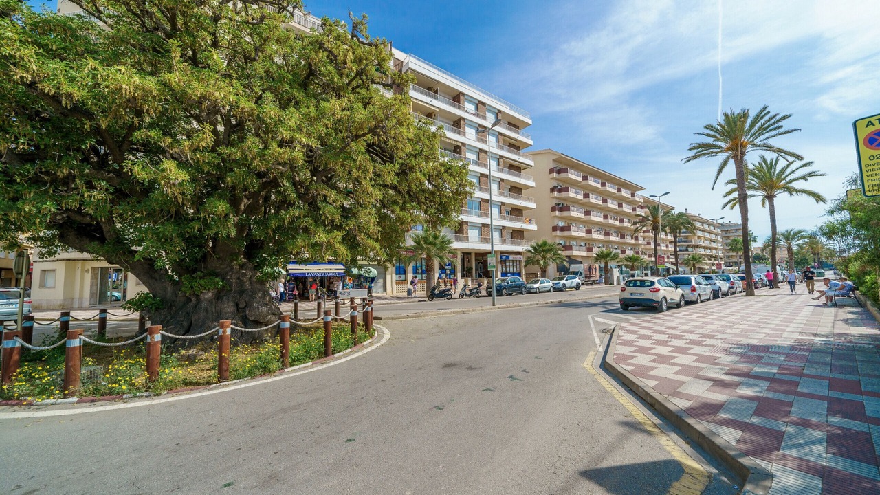 Photo of Outdoor in Pineda de Mar