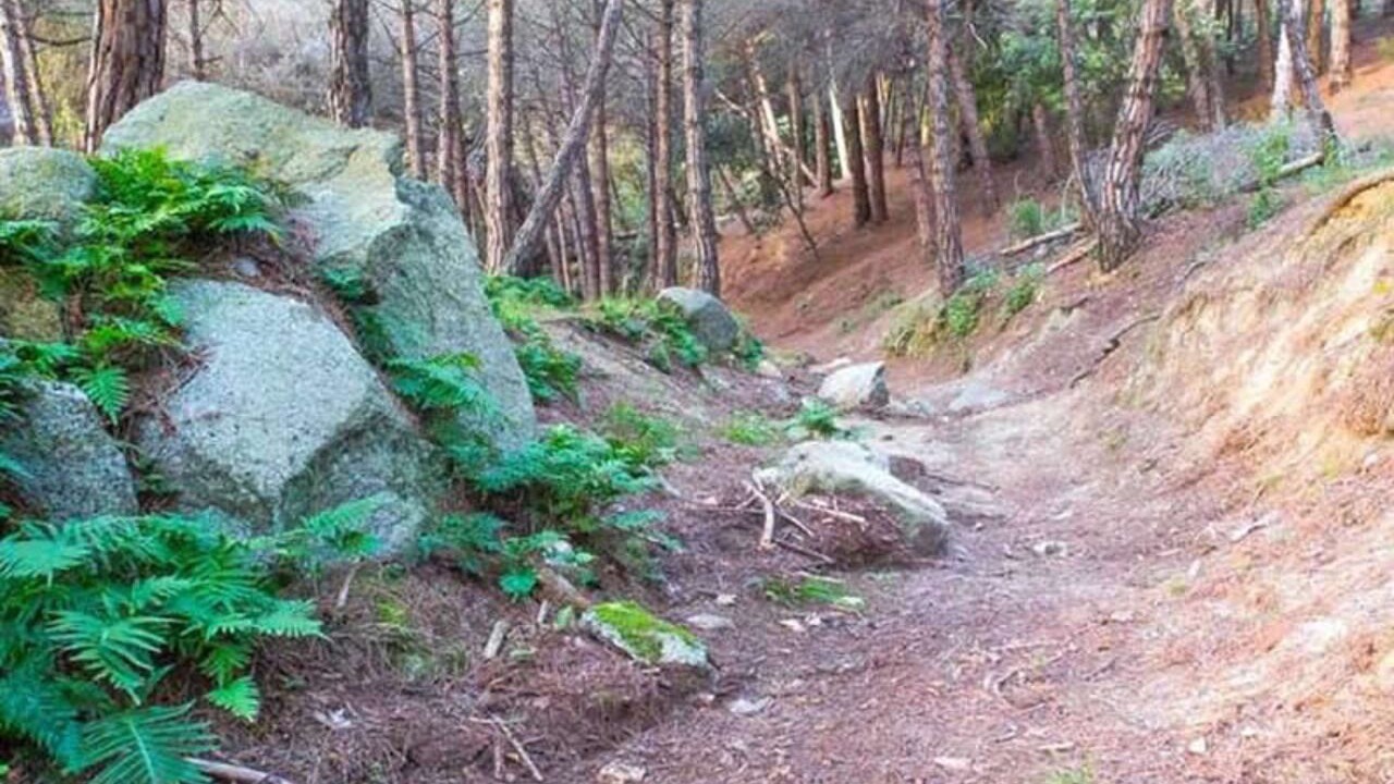 Photo of Outdoor in Vilassar de Dalt