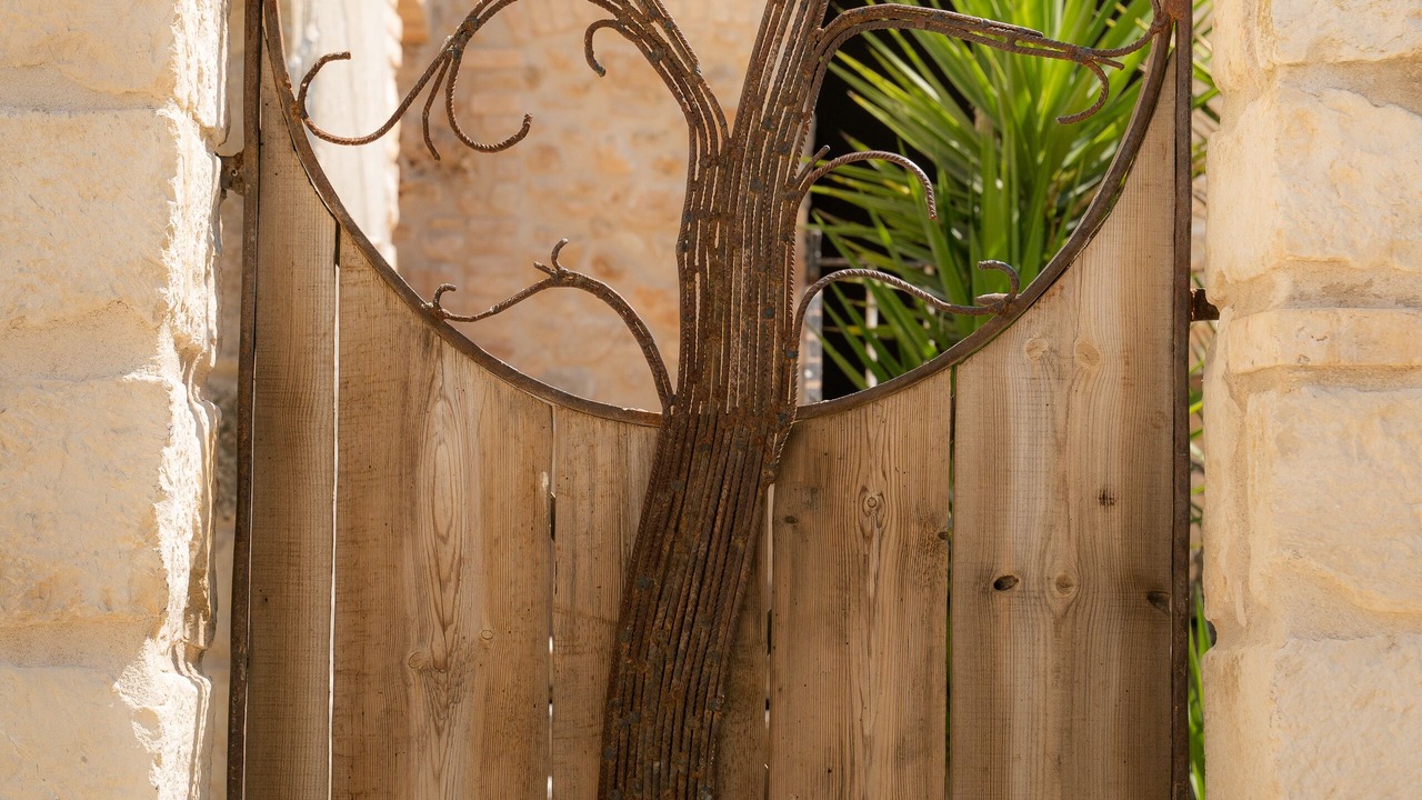 Photo of Outdoor in Mediona