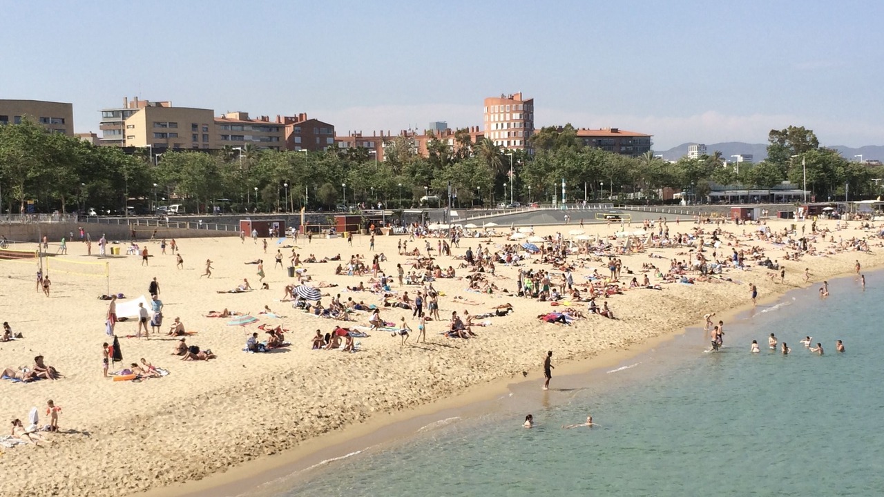 Photo of Others in La Vila Olimpica del Poblenou