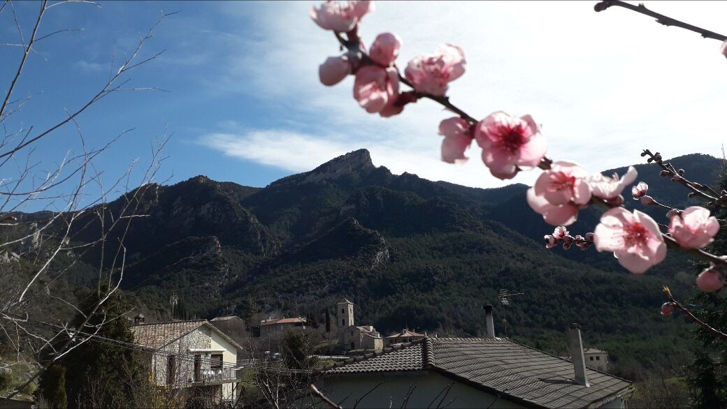 Photo of Outdoor in La Nou