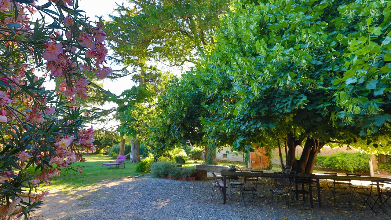 Photo of Outdoor in Sant Antoni de Vilamajor