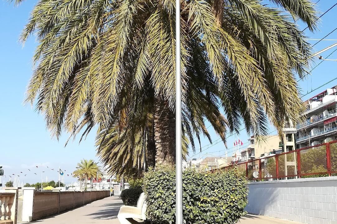 Photo of Outdoor in Masnou