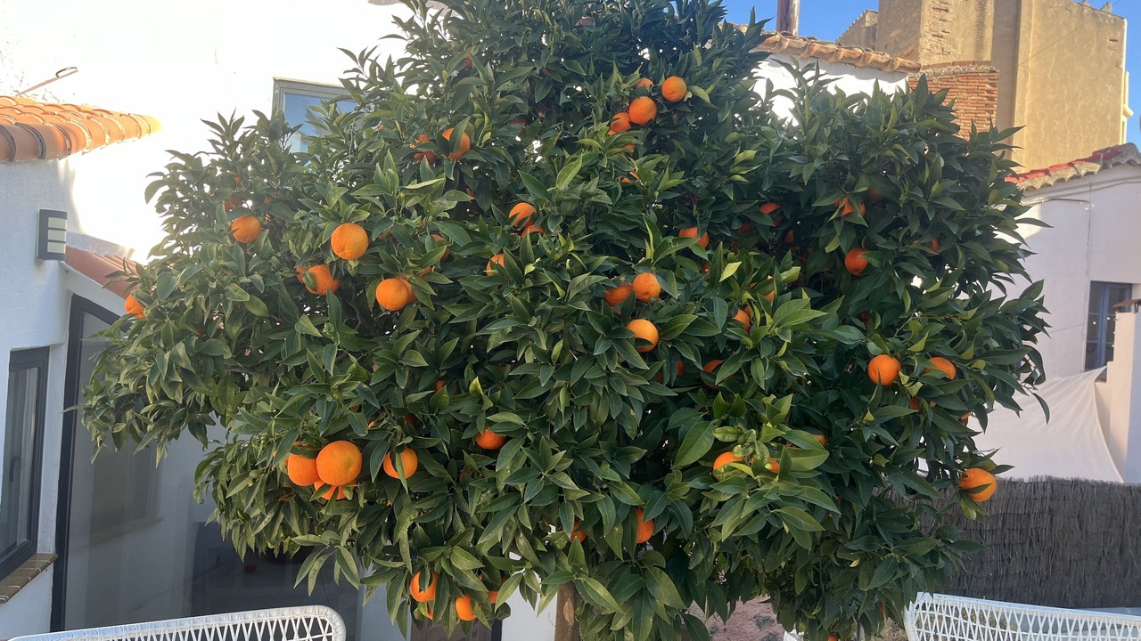 Photo of Outdoor in Vilassar de Dalt