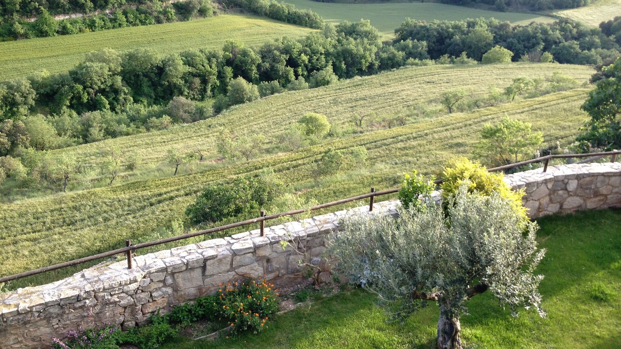 Photo of Outdoor in Aleny