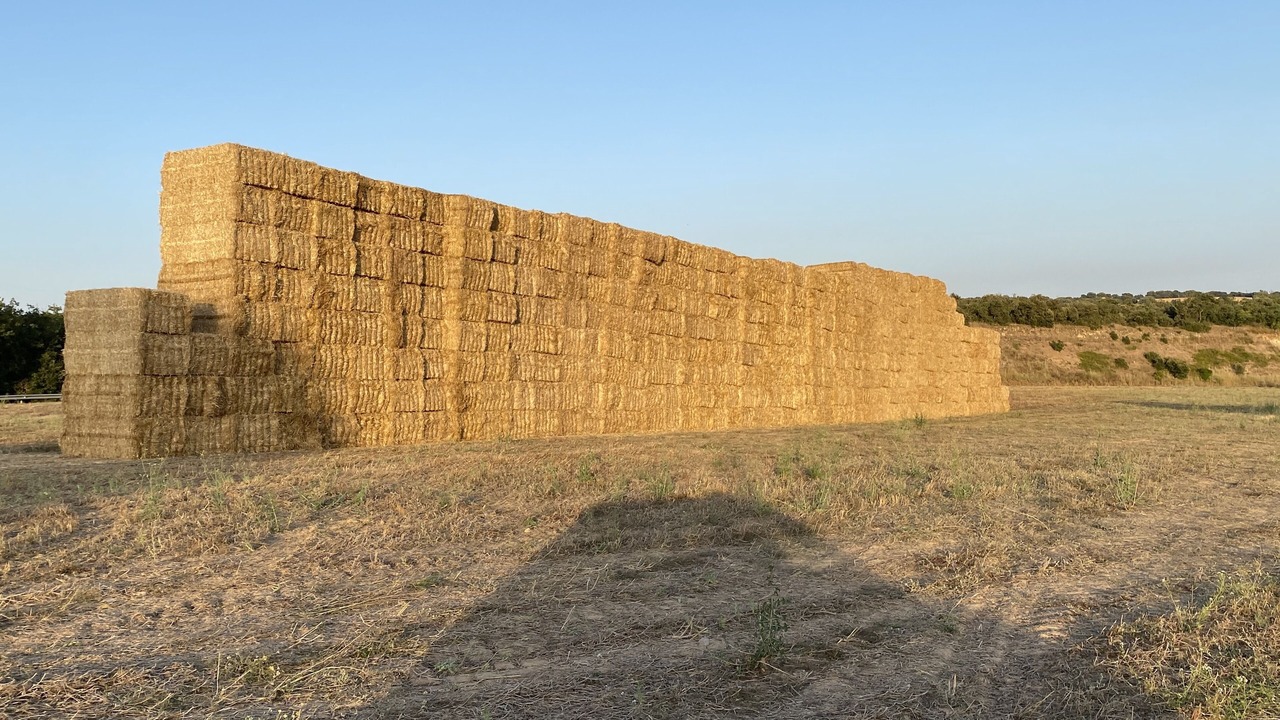 Photo of Outdoor in Aleny