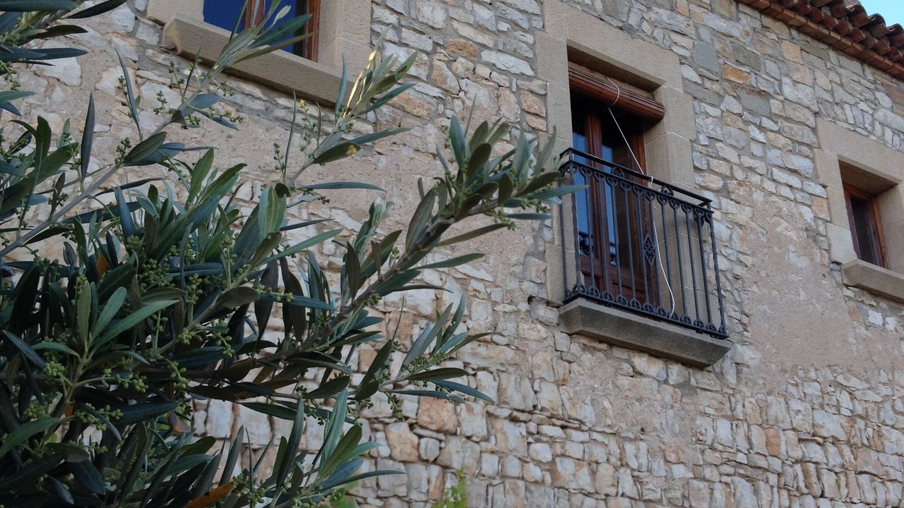 Photo of Outdoor in Aleny
