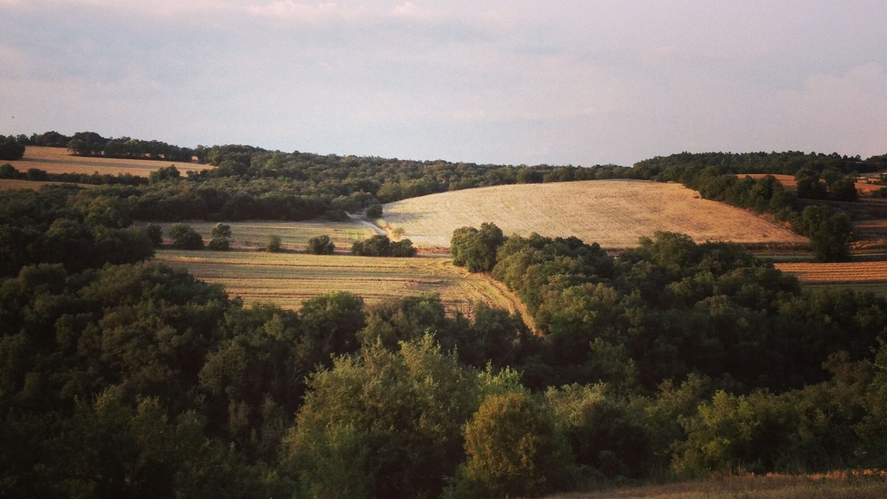Photo of Outdoor in Aleny