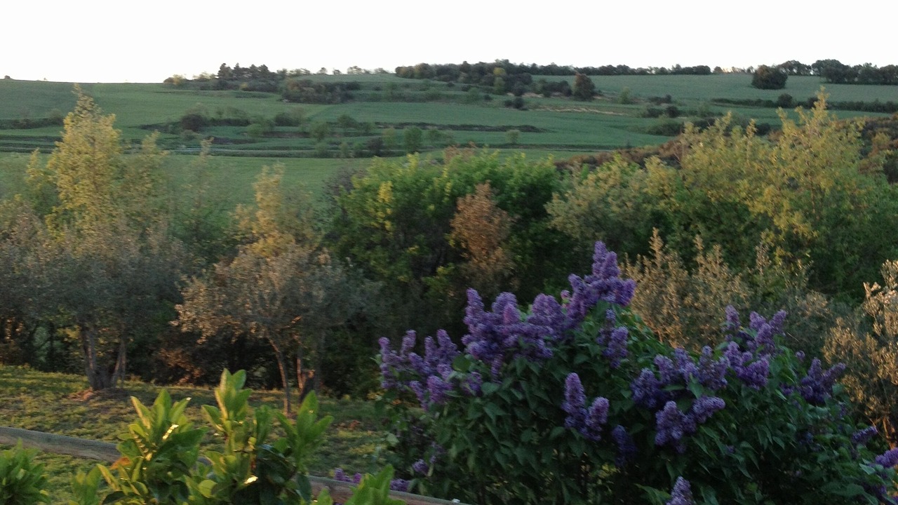Photo of Outdoor in Aleny