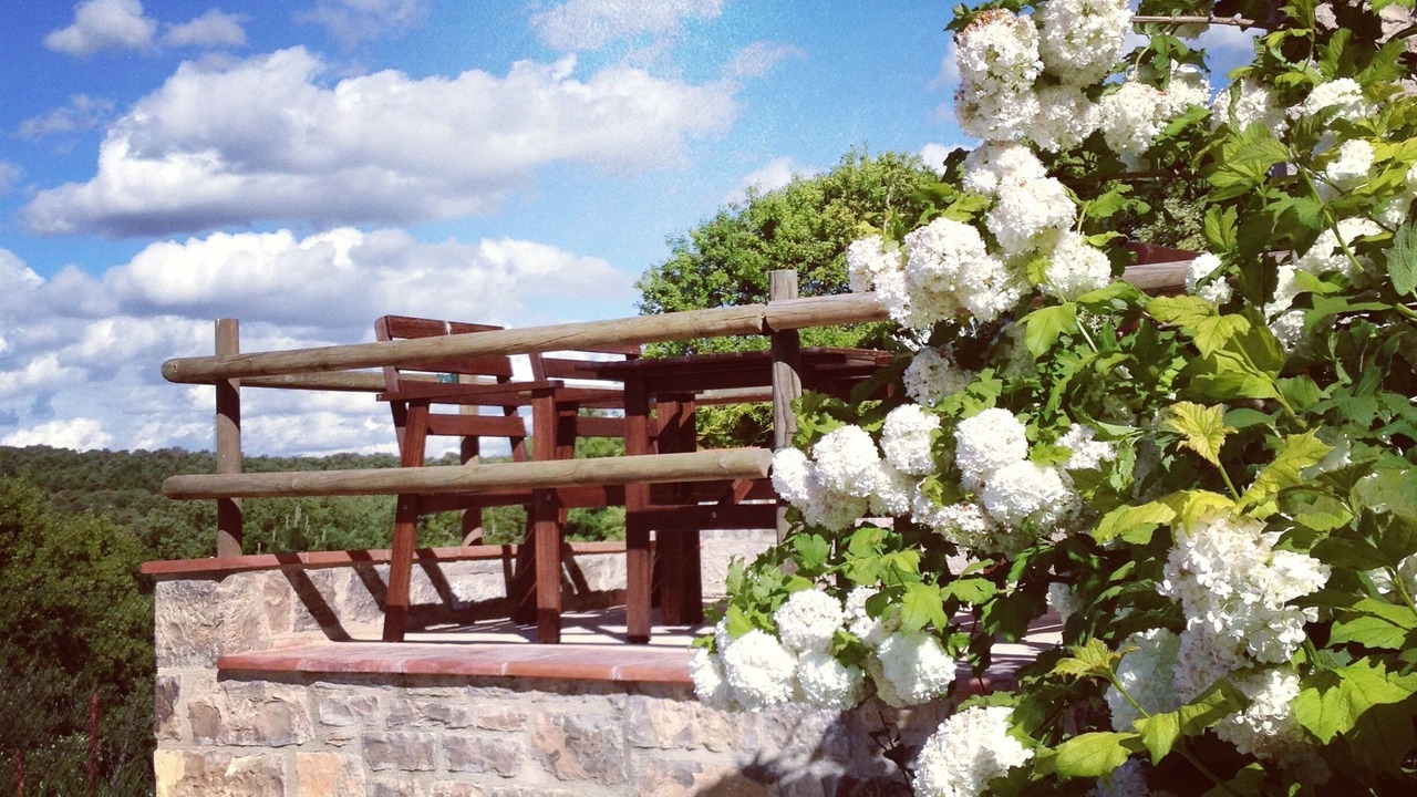 Photo of Outdoor in Aleny
