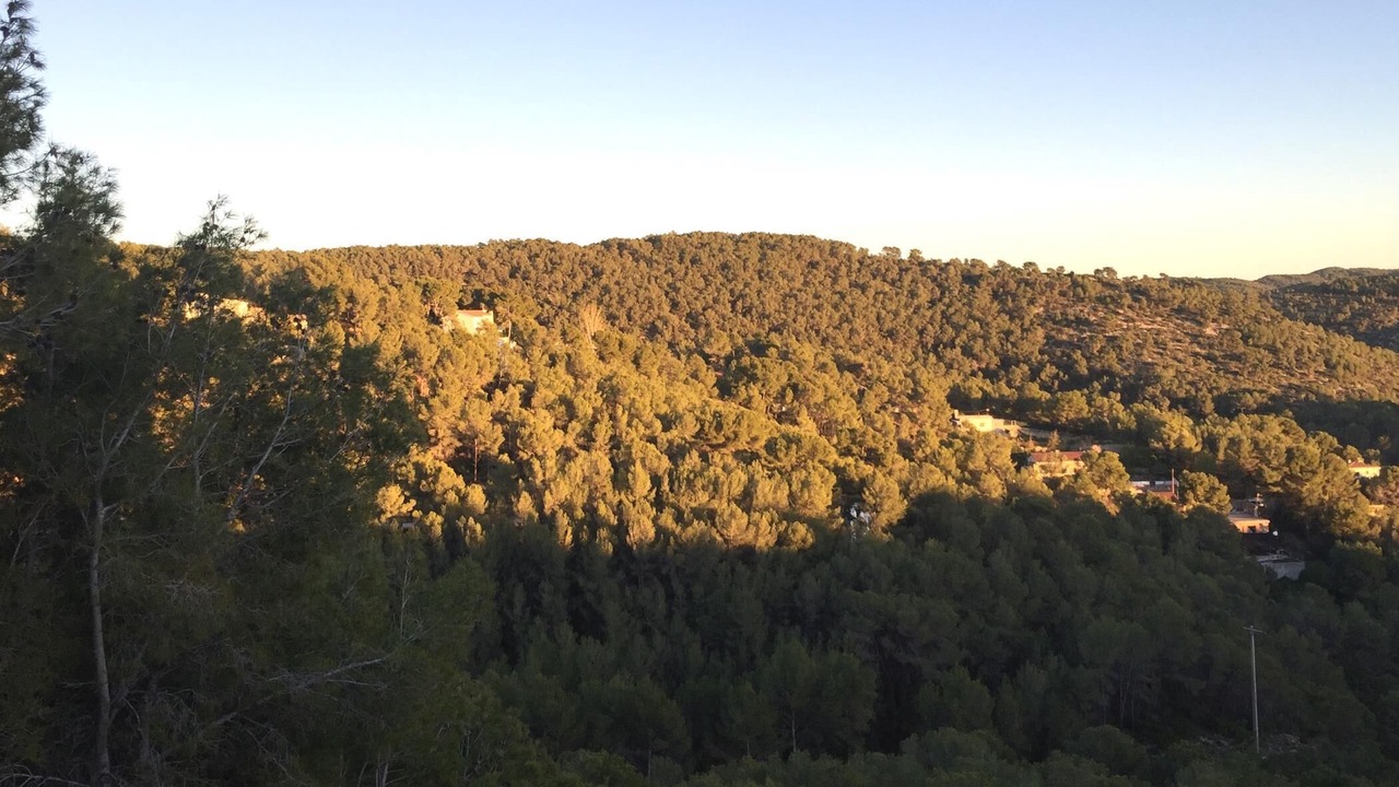 Photo of Others in Sant Pere de Ribes