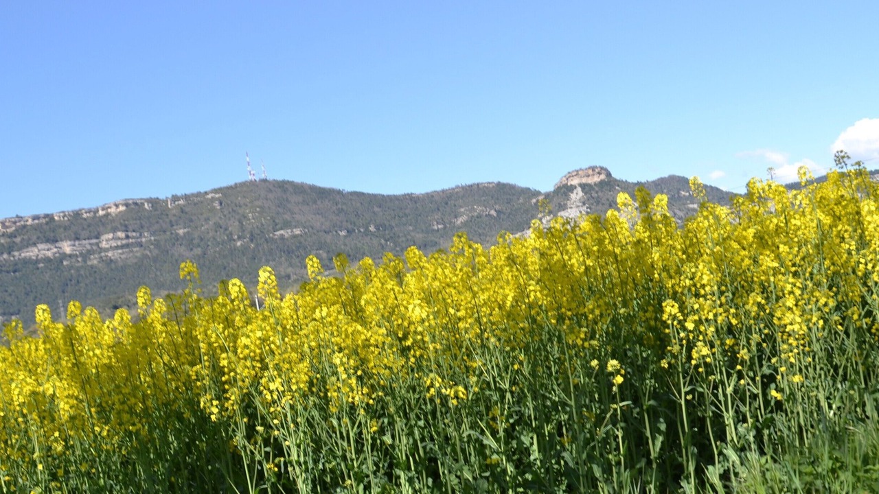Photo of Outdoor in Balenya