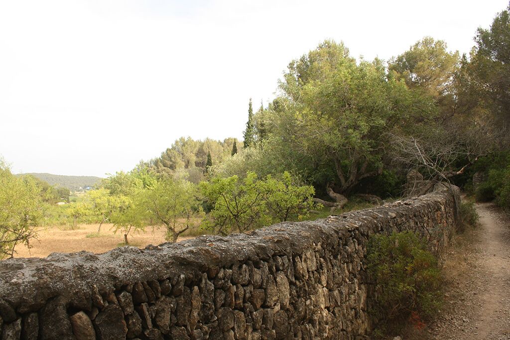 Photo of Outdoor in Sant Pere de Ribes