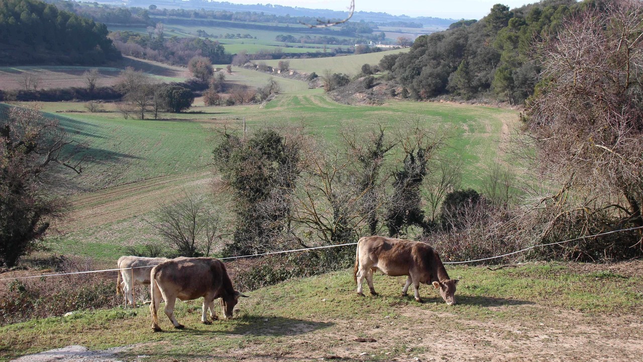 Photo of Others in Pujalt