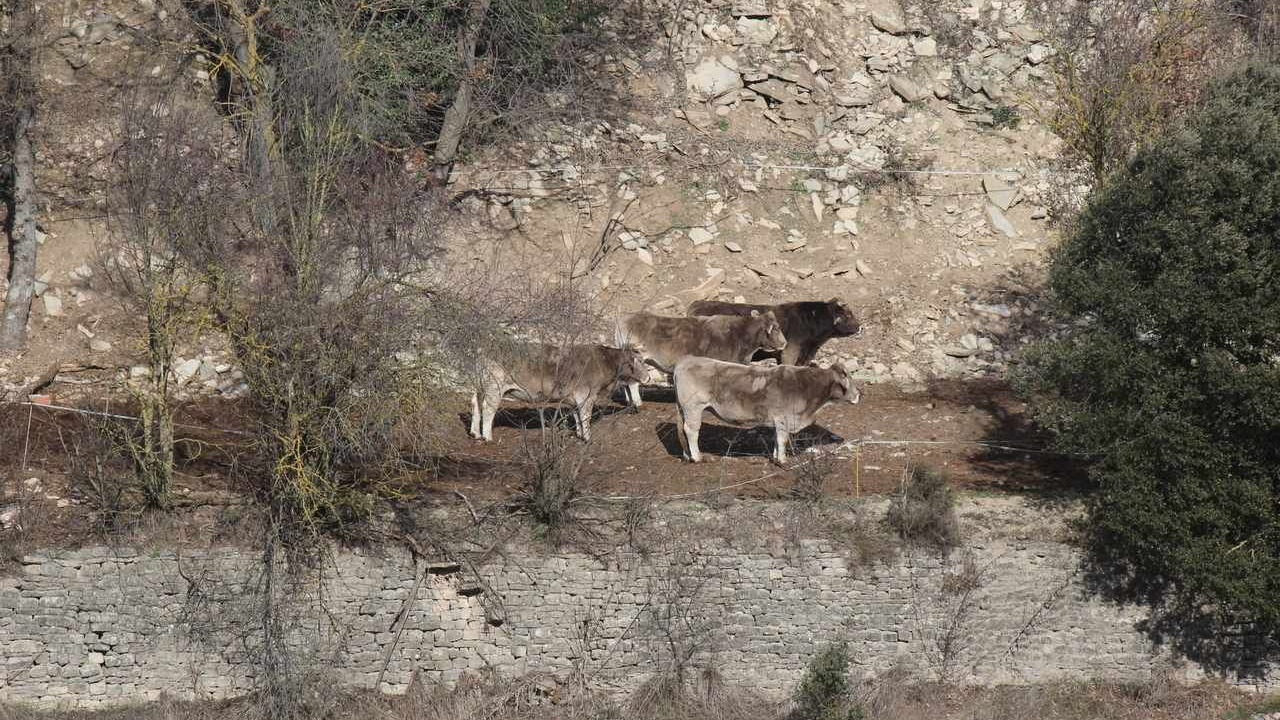 Photo of Outdoor in Pujalt