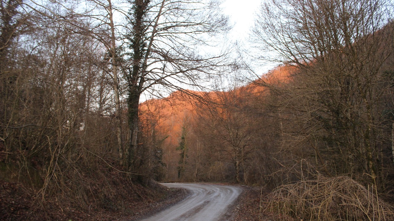 Photo of Outdoor in Santa Maria de Besora