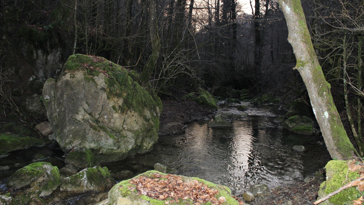 Photo of Outdoor in Santa Maria de Besora