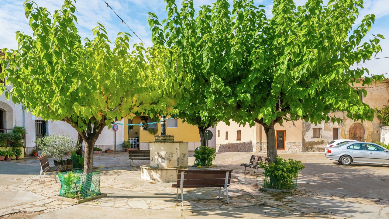 Photo of Others in Pacs del Penedes