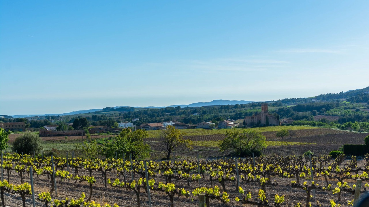 Photo of Others in Castellvi de la Marca