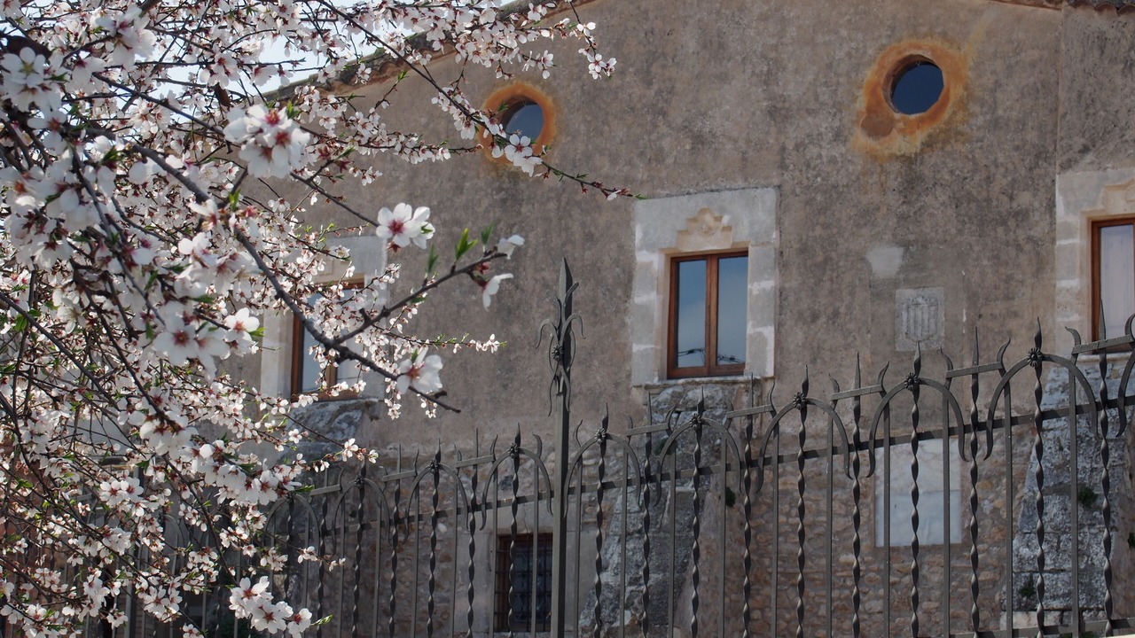 Photo of Outdoor in Font-Rubi