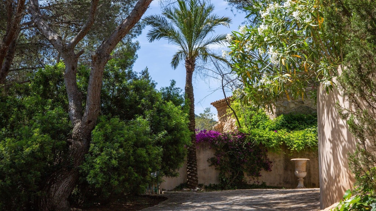 Photo of Outdoor in Canyelles