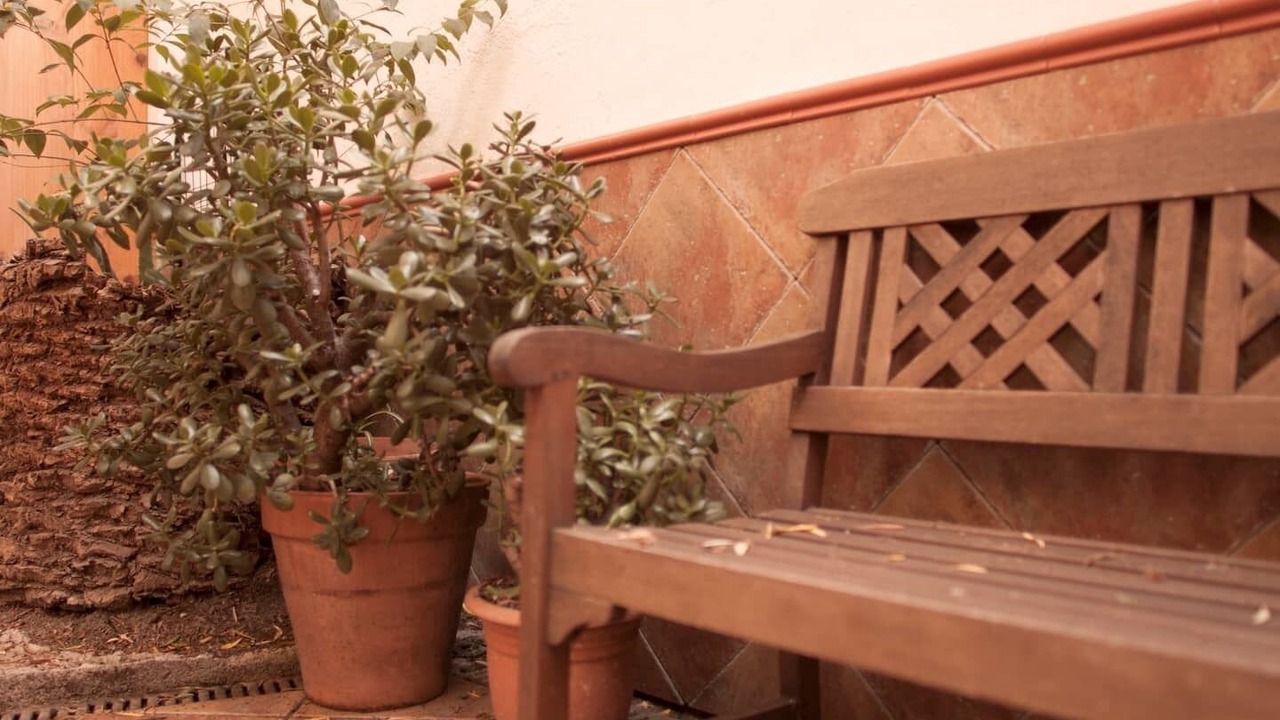 Photo of Outdoor in L'Hospitalet de Llobregat
